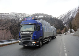 Handel - Heinz Bögli GmbH - Langnau i. E. Handel - Heinz Bögli GmbH - Langnau i. E.